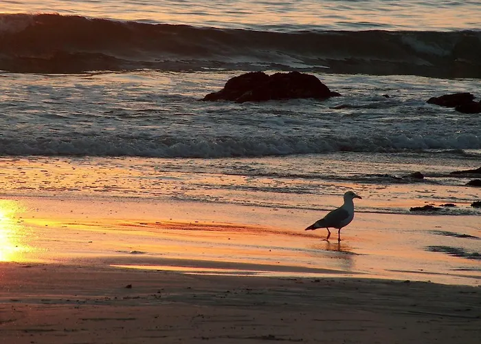 Casa Playa De Balares Σπίτι διακοπών Ponteceso