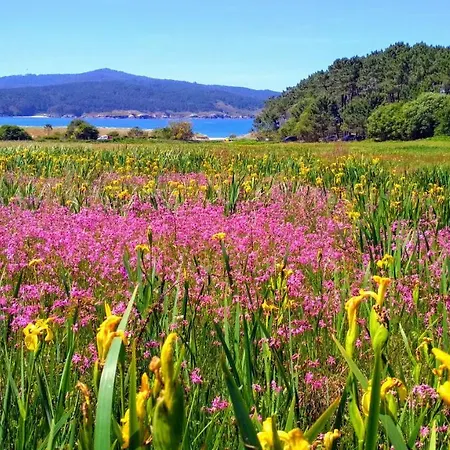 Hébergement de vacances Casa Playa De Balares Ponteceso