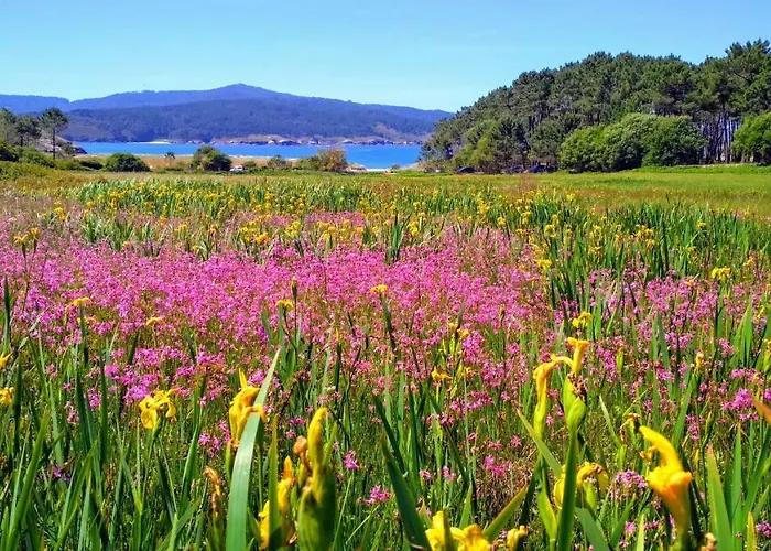 Feriehus Casa Playa De Balares Ponteceso