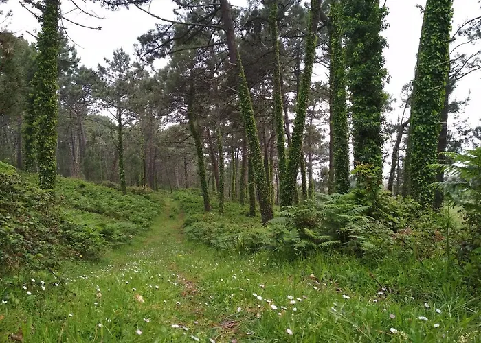 Casa Playa De Balares 度假居 *